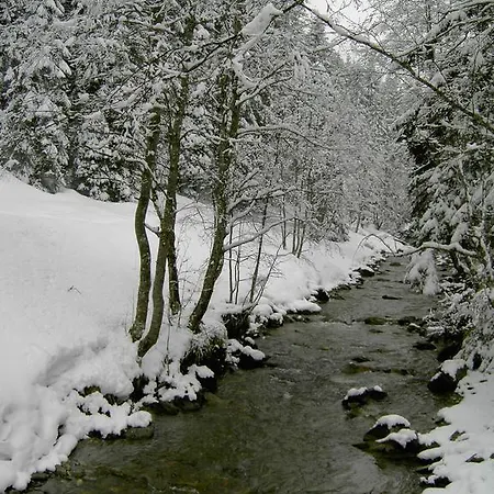 Am Waldrand * Bad Breisig