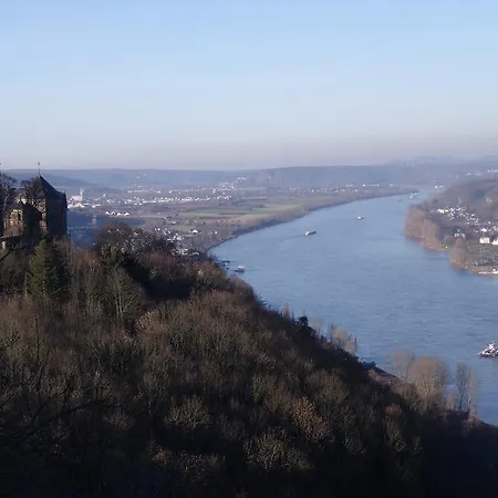Am Waldrand *