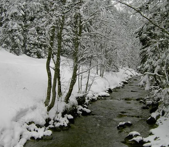 Am Waldrand * Bad Breisig